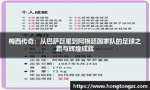 金年会体育官网